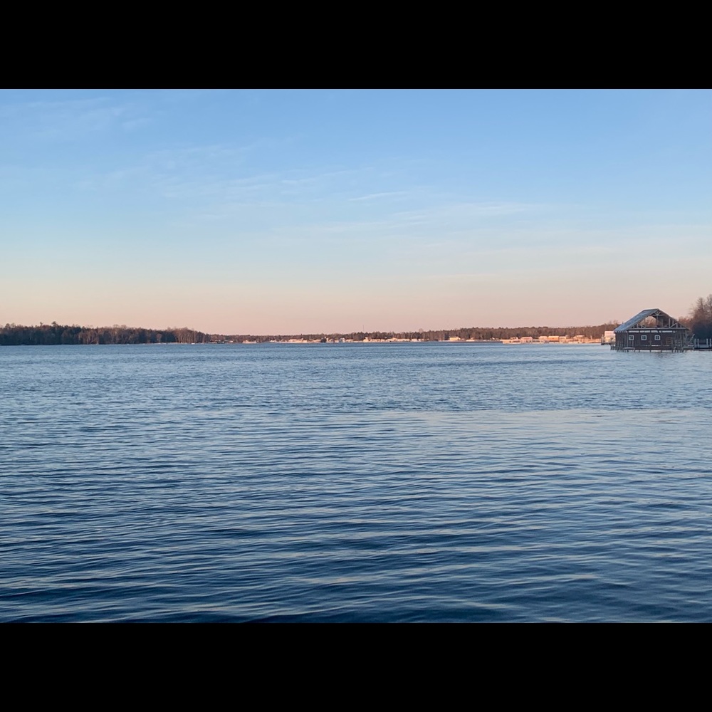 Meet your Posher, Ellison